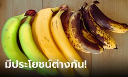 มหัศจรรย์แห่งกล้วย! กล้วยดิบ-สุก-งอม มีประโยชน์ต้านโรคต่างกันไป อ่านแล้วจะว้าว!