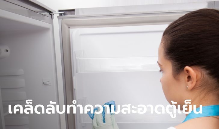 ไม่ต้องเสียเงินเปลี่ยน! วิธีขจัดคราบดำบนขอบยางตู้เย็น จากของง่าย ๆ ใกล้ตัวมาก