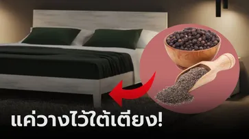 รู้งี้ทำนานแล้ว! แค่วาง "พริกไทย" ไว้ใต้เตียง เคล็ดลับราคาถูก แต่ได้มากกว่าไล่แมลง