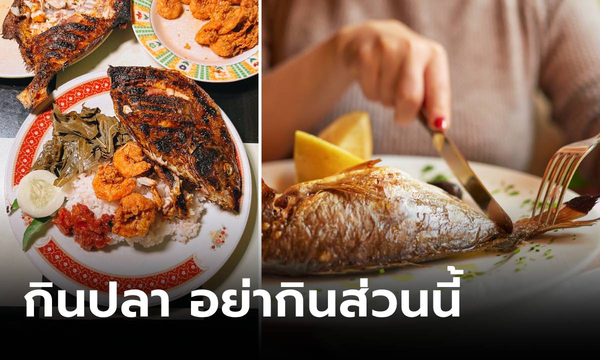 เตือนแล้วนะ 4 ส่วนของปลาที่ "ไม่ควรกิน" มันไม่ดีต่อสุขภาพ พิษรุนแรงถึงชีวิตได้!