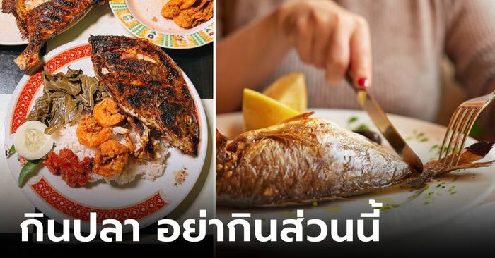 เตือนแล้วนะ 4 ส่วนของปลาที่ "ไม่ควรกิน" มันไม่ดีต่อสุขภาพ พิษรุนแรงถึงชีวิตได้!