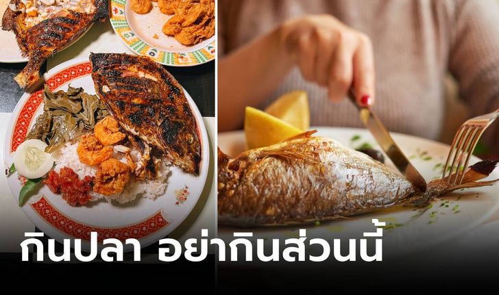 เตือนแล้วนะ 4 ส่วนของปลาที่ "ไม่ควรกิน" มันไม่ดีต่อสุขภาพ พิษรุนแรงถึงชีวิตได้!