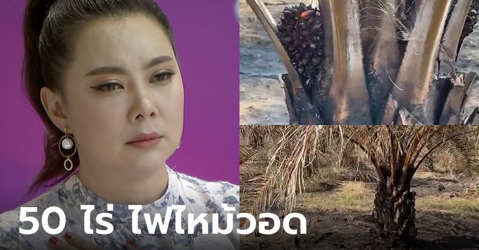 "บุ๋ม ปนัดดา" เข่าแทบทรุด! เห็นสภาพ สวนปาล์ม 50 ไร่ ไฟไหม้วอด! คนเห็นแก่ตัวทำไว้