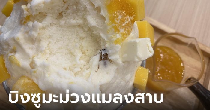 ช็อก กินบิงซูร้านดังเจอแมลงสาบทั้งตัว ลูกค้าขอเงินคืน ร้านยังหักเซอร์วิสชาร์จ