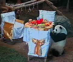 หลินปิง1ปี สัมพันธ์ไทยจีนแข็งแกร่ง สวนสัตว์เลี้ยงโต๊ะจีน-เป่าเค้ก