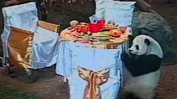 หลินปิง1ปี สัมพันธ์ไทยจีนแข็งแกร่ง สวนสัตว์เลี้ยงโต๊ะจีน-เป่าเค้ก