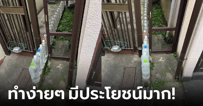 คนไทยก็ควรทำ! คนญี่ปุ่นไขข้อข้องใจ เรียงขวดน้ำหน้าบ้าน ทำเพื่อป้องกันอะไร?