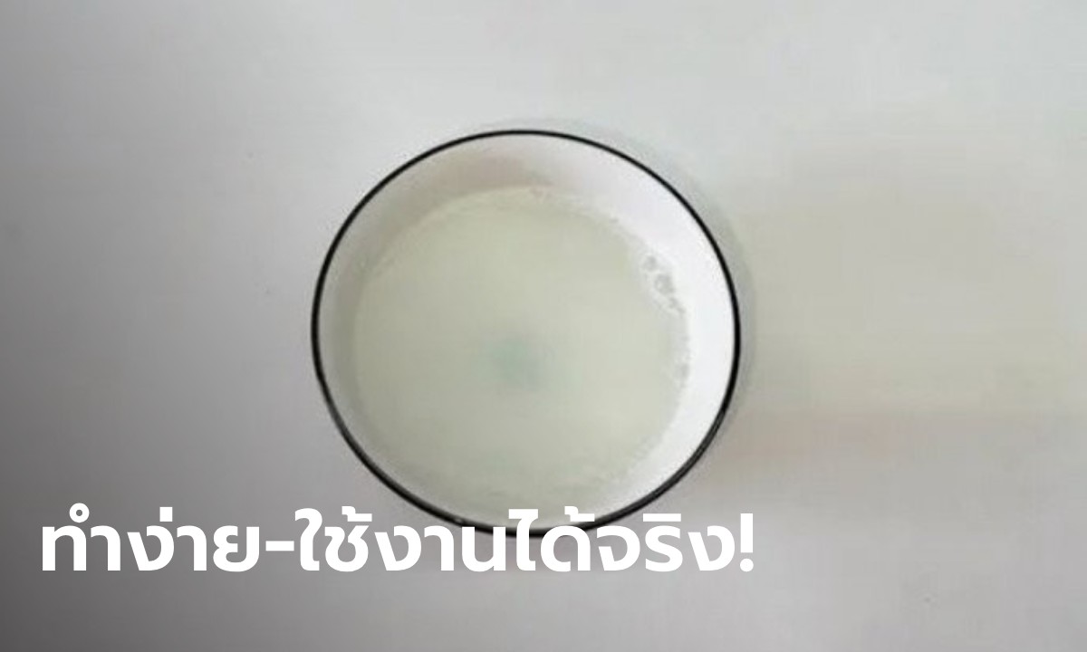 เพิ่งจะรู้! น้ำชามนี้ "ยุง" กลัวที่สุด จากของง่าย ๆ ที่มีทุกบ้าน คนไทยก็ทำตามได้