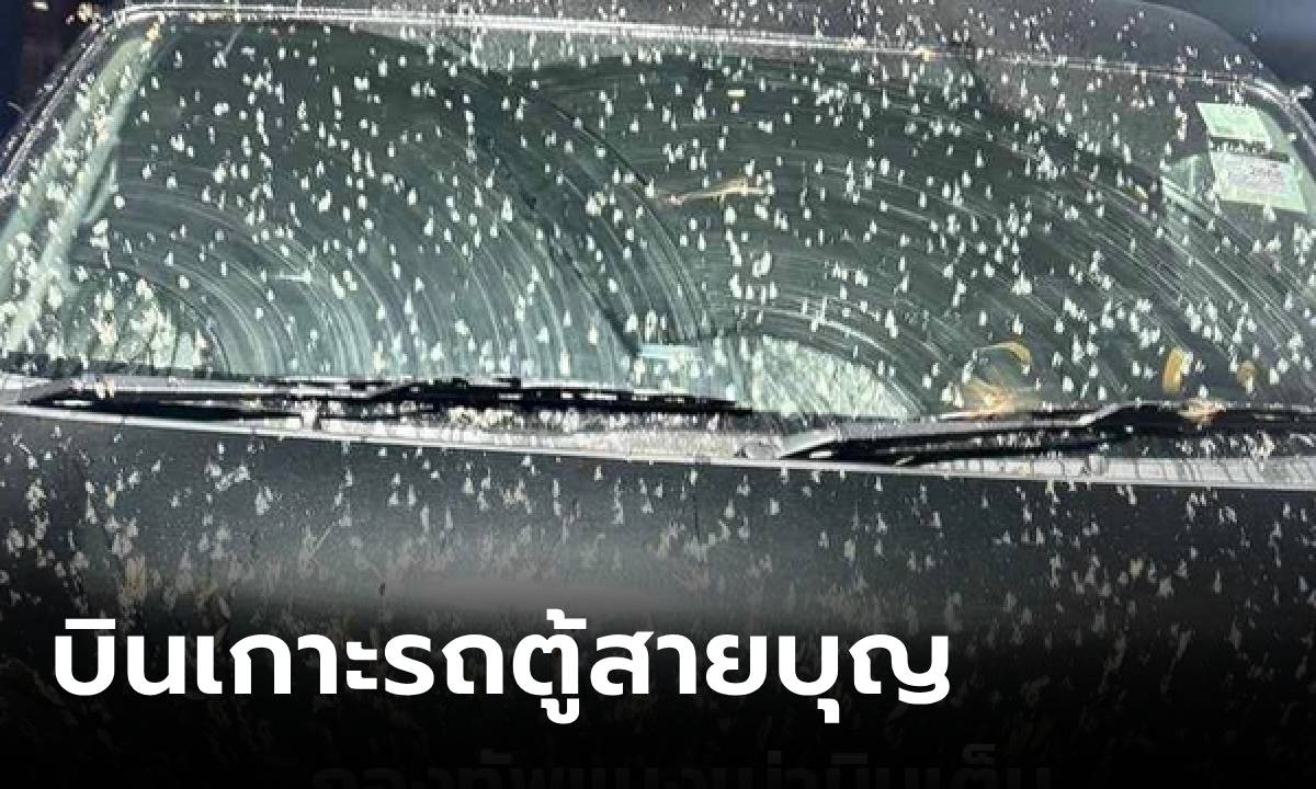 ตะลึง! รถตู้สายบุญต้องจอดฉุกเฉิน จู่ๆ เจอกองทัพ "แมงเม่า" ขวางทาง รุมเกาะหลายพันตัว