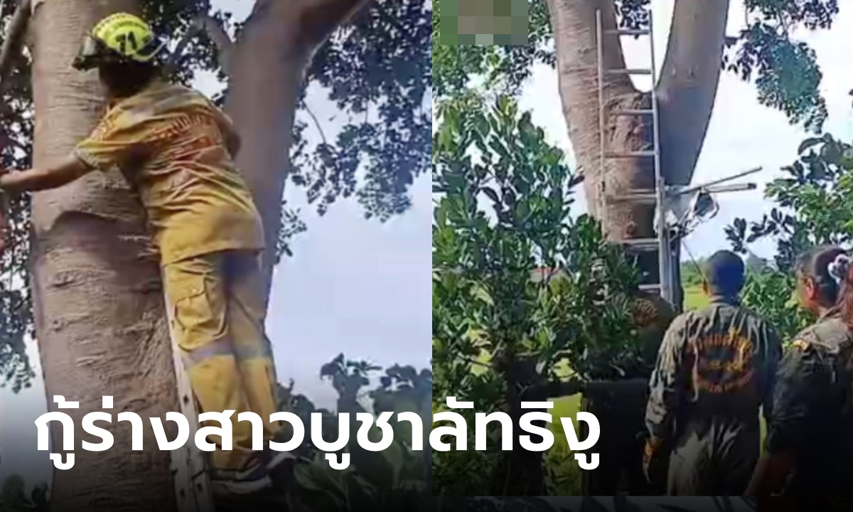 สาววัย 27 จุดธูปบูชาลัทธิงู ก่อนจบชีวิตบนต้นไม้ กู้ภัยตกใจ สูงขนาดนี้ขึ้นไปได้ยังไง