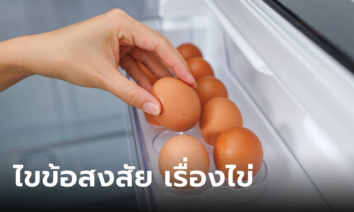 เคล็ดไม่ลับเรื่อง "ไข่" กินไข่อะไรได้ประโยชน์สูงสุด กินได้วันละกี่ฟอง ใครไม่ควรกินเยอะ