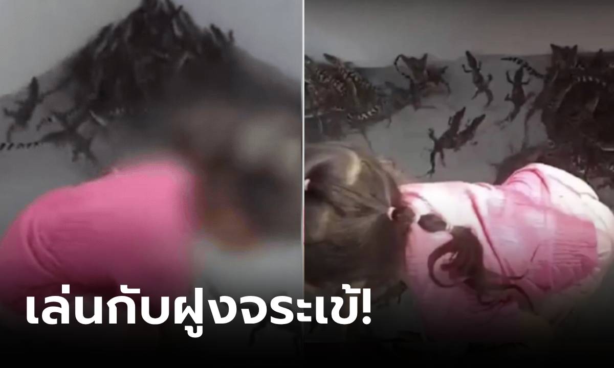สื่อนอกตีข่าว ช็อกเด็กไทย 4 ขวบ เล่นน้ำกับฝูงจระเข้ 200 ตัว พร้อมคำอธิบายจากแม่