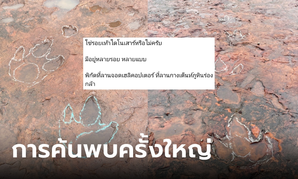 หนุ่มโพสต์ถาม รอยแปลกๆ บนภูหินร่องกล้า ล่าสุดยืนยัน "รอยตีนไดโนเสาร์" ของแท้