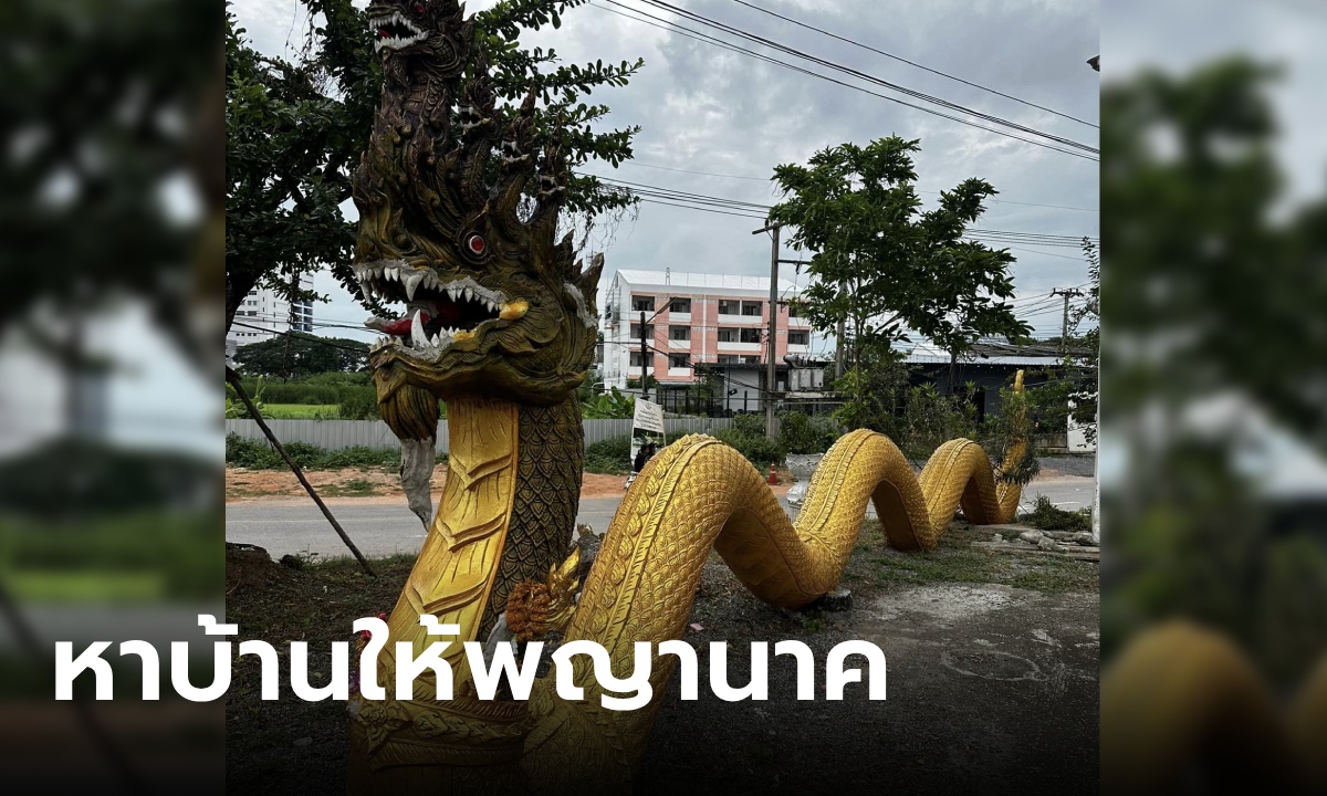 ประกาศหาบ้านให้ "พญานาค" รูปปั้นสีทองยาว 10 เมตร ยกให้ฟรีๆ เงื่อนไขมีข้อเดียว