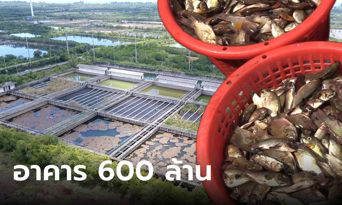 อึ้ง..อาคาร 600 ล้าน ตอนนี้ถูกทิ้งร้าง เข้าไปแทบช็อก นี่มันสวรรค์ของ "ปลาหมอคางดำ"