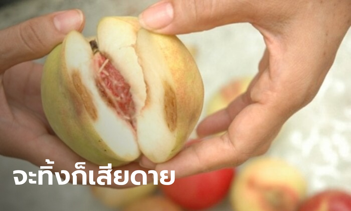 ผัวเมียร้านขายผลไม้ ป่วยมะเร็งตับทั้งคู่ หมอซักจนรู้สาเหตุ จากนิสัยการกินอย่างประหยัด