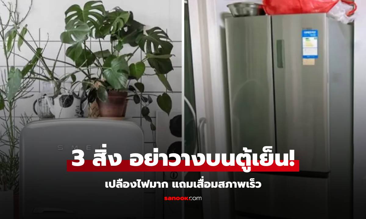 หลายบ้านยังทำ! ช่างไฟเตือนอย่าวาง 3 สิ่งนี้ไว้บน "ตู้เย็น" เปลืองไฟมาก แถมเสื่อมสภาพเร็ว