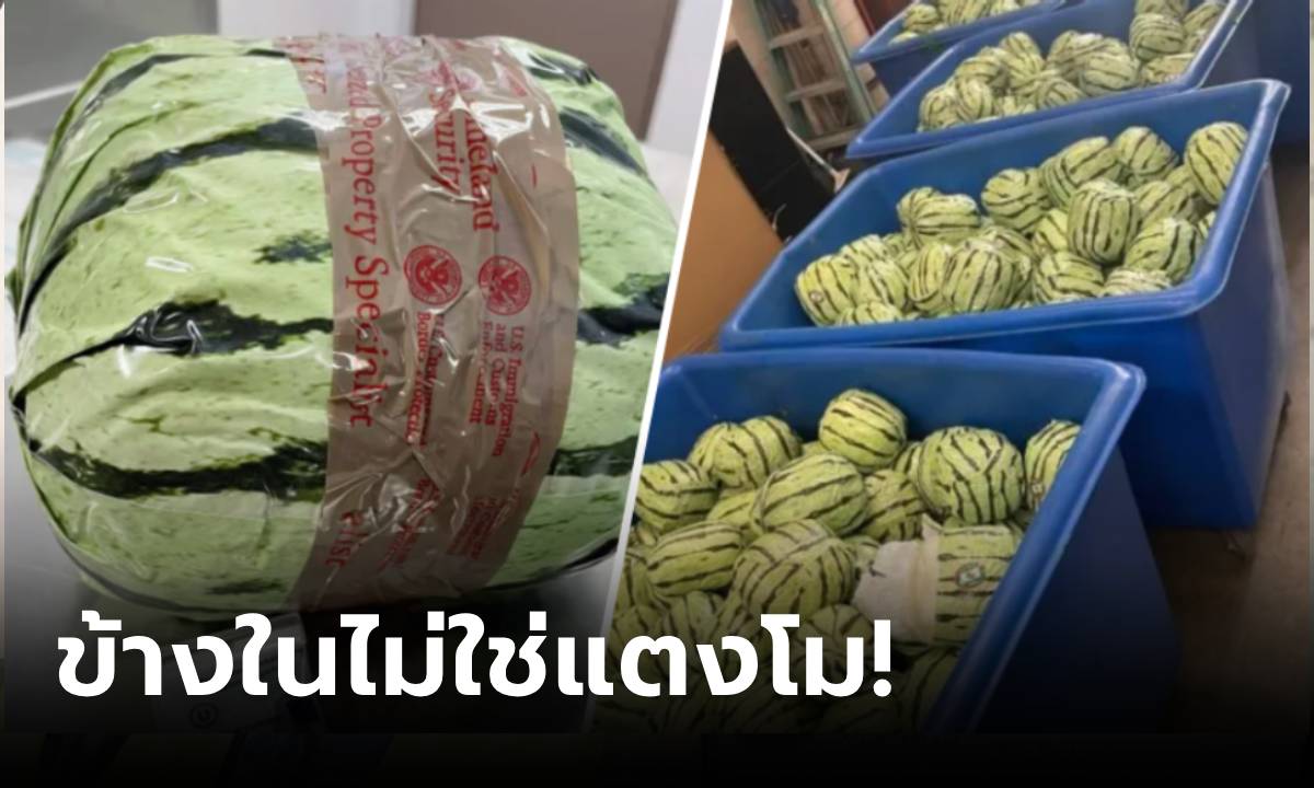 หนุ่มวัย 29 ขับรถขน "แตงโม" เป็นพันลูก จนท.เอะใจผ่าดูตะลึง ซุกของมูลค่า 170 ล้าน!!!