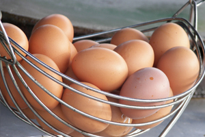ราคาไข่ไก่ในห้างสรรพสินค้าปรับตัวลดลง