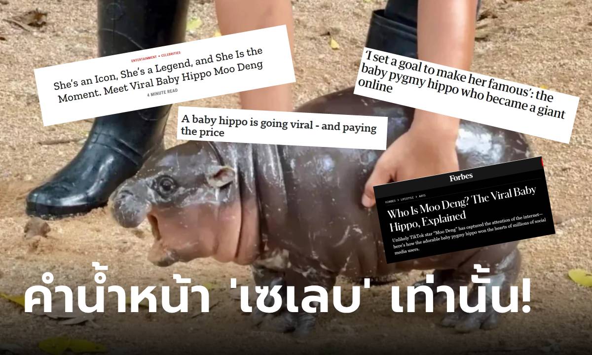 โกอินเตอร์! ส่องความดังของ ‘หมูเด้ง’ ในต่างแดน สื่อนานาชาติแห่ทำข่าว