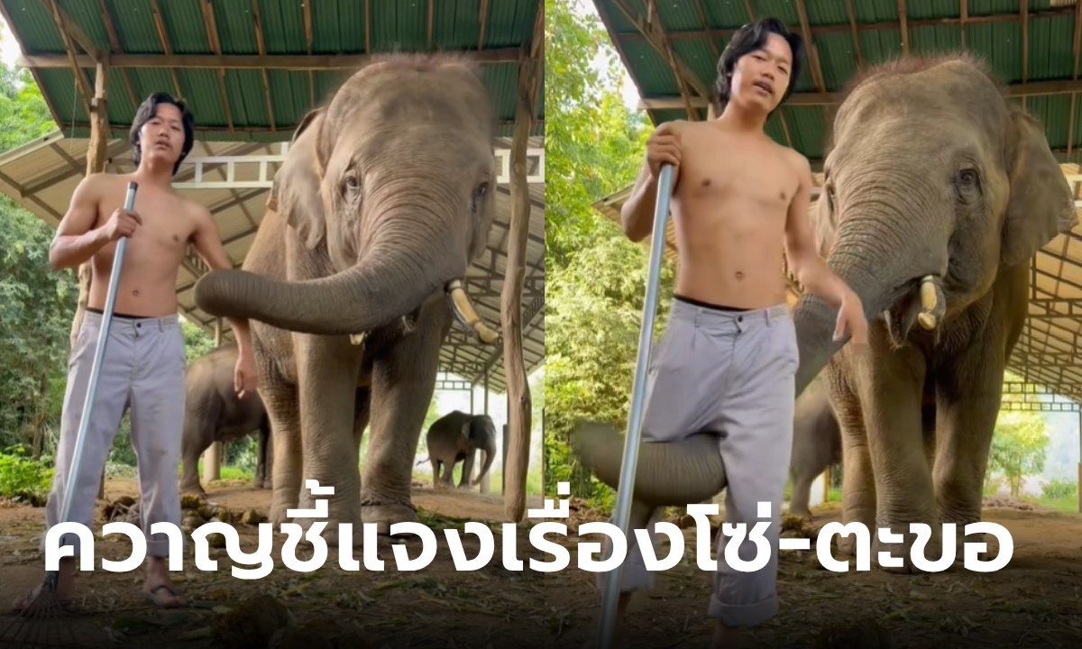 ควาญช้างดัมโบ้ โพสต์ฟาดปางช้างดัง "โทษตัวเองบ้าง" ยันใช้โซ่-ตะขอ ไม่ใช่การทารุณ