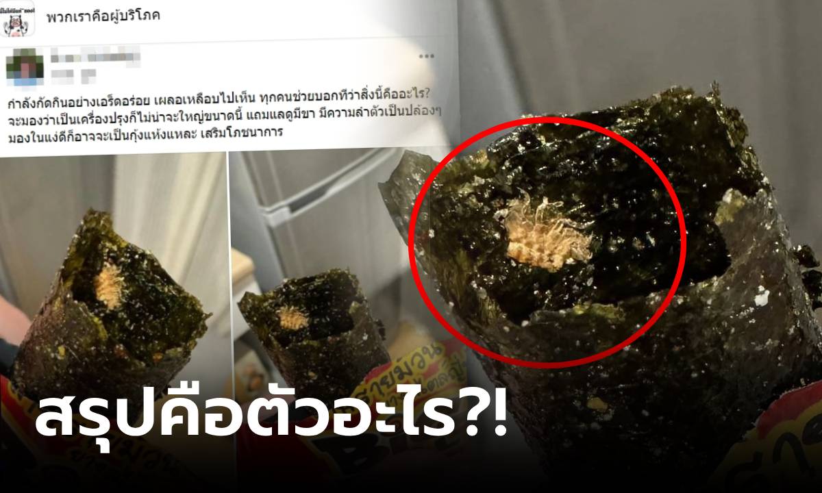 ขนลุกเลย! กัดสาหร่ายเจอก้อนปริศนา คนชี้ตรงกัน "สัตว์ดึกดำบรรพ์" แบรนด์ดังโผล่คอมเมนต์