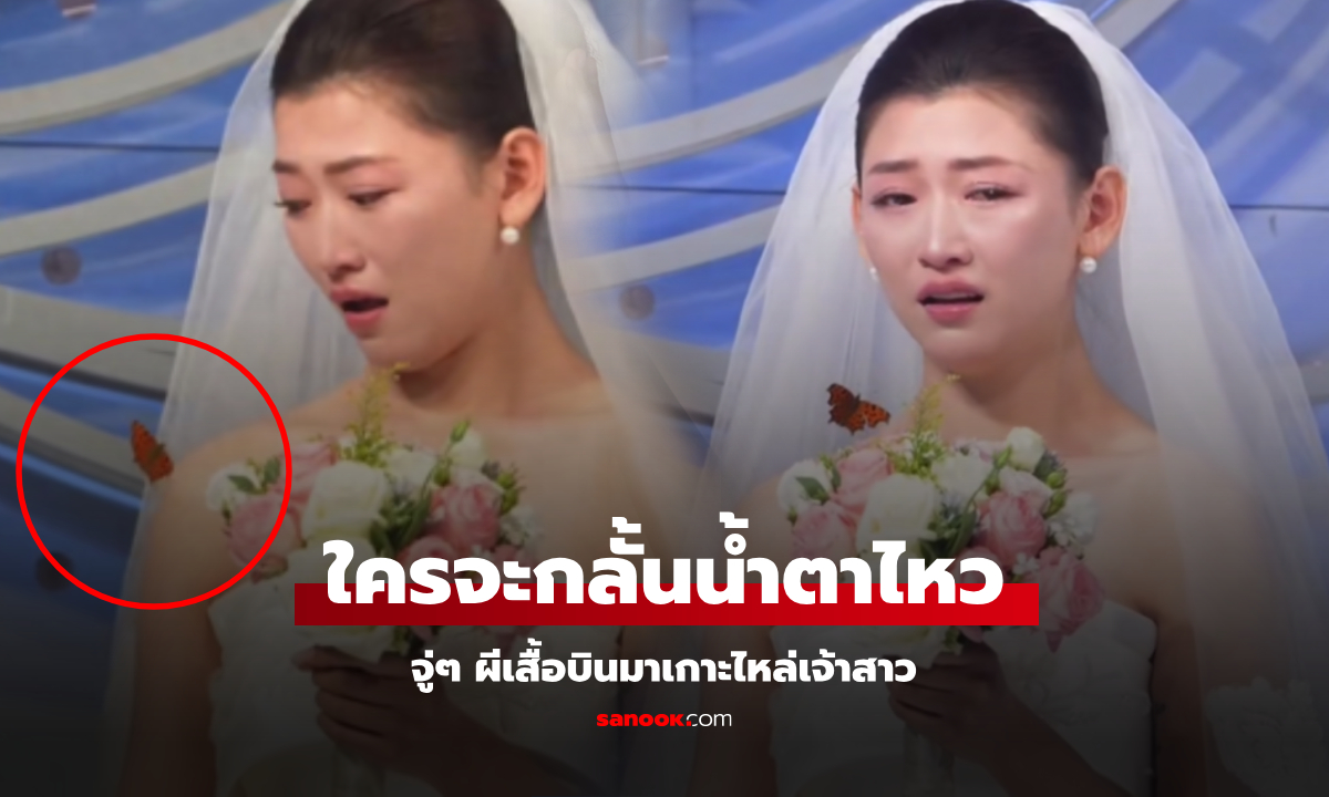 น้ำตาไหลเป็นสาย "ผีเสื้อ" บินเกาะเจ้าสาว รู้เป็น "ตัวแทน" ของใคร แขกตะลึงกันทั้งงาน!