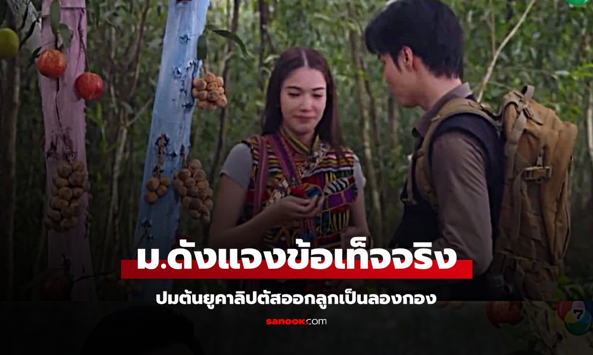 ม.ดังเฉลย "ต้นยูคาลิปตัส" ออกลูกเป็นลองกองได้ไหม? หลังละครช่องดังทำคนฮือฮา