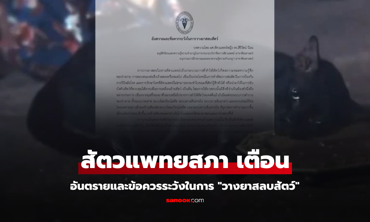 สัตวแพทยสภา เตือน "วางยาสลบสัตว์" ควรใช้กรณีใดบ้าง ทำไม่ถูกต้อง-ไม่พร้อม เสี่ยงถึงตาย