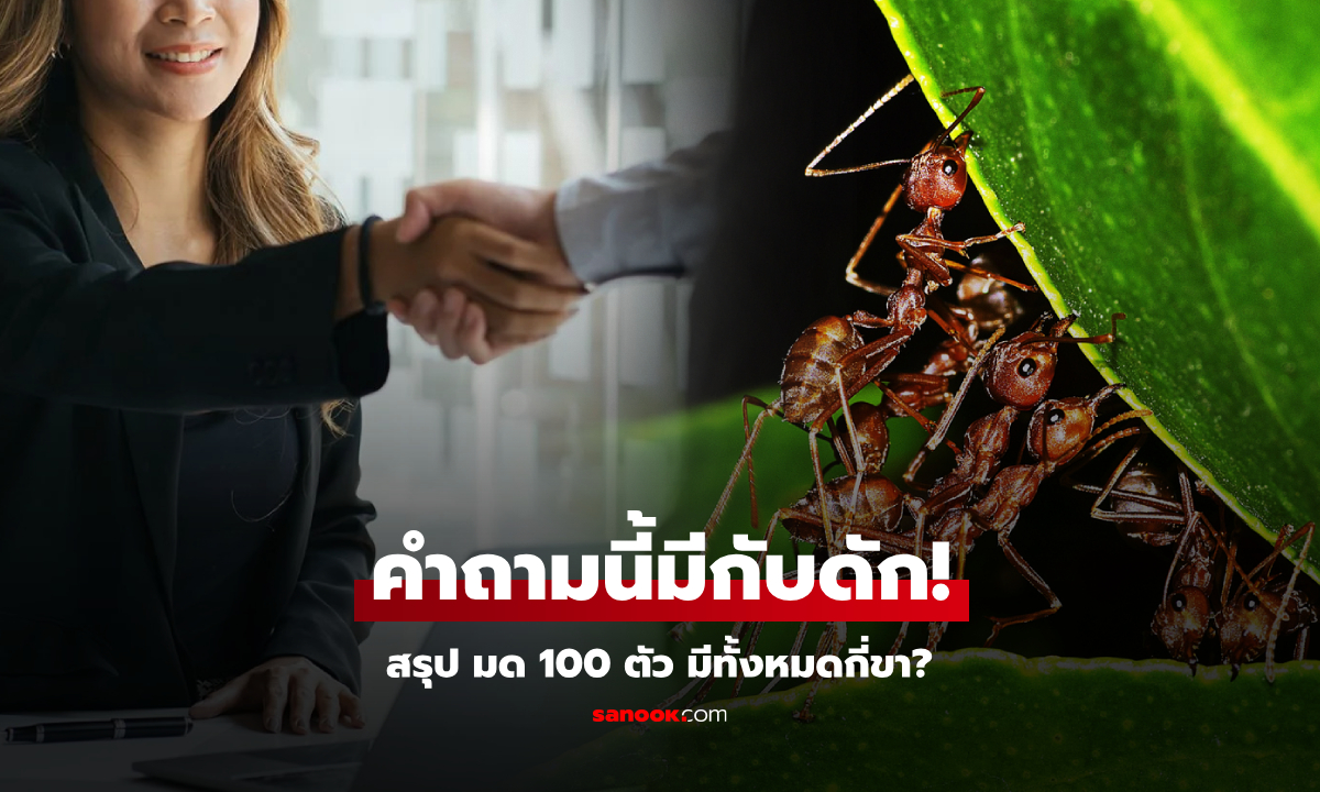 สัมภาษณ์ถาม "มด 1 ตัวมี 7 ขา มด 100 ตัวมีกี่ขา?" ใครตอบ 700 ตกรอบ คนได้งานตอบเท่านี้