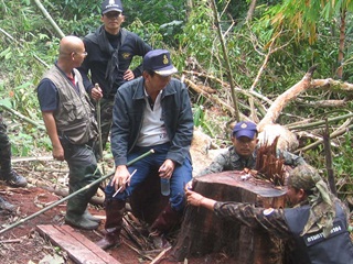 ผู้ว่าฯ กาญจนบุรีลุยป่าสังขละจับขบวนการตัดไม้