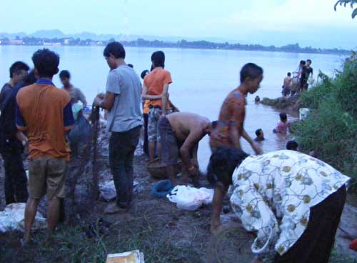 ชาวบ้านนครพนมรุมจับปลาดุกนับหมื่นตัวริมโขง