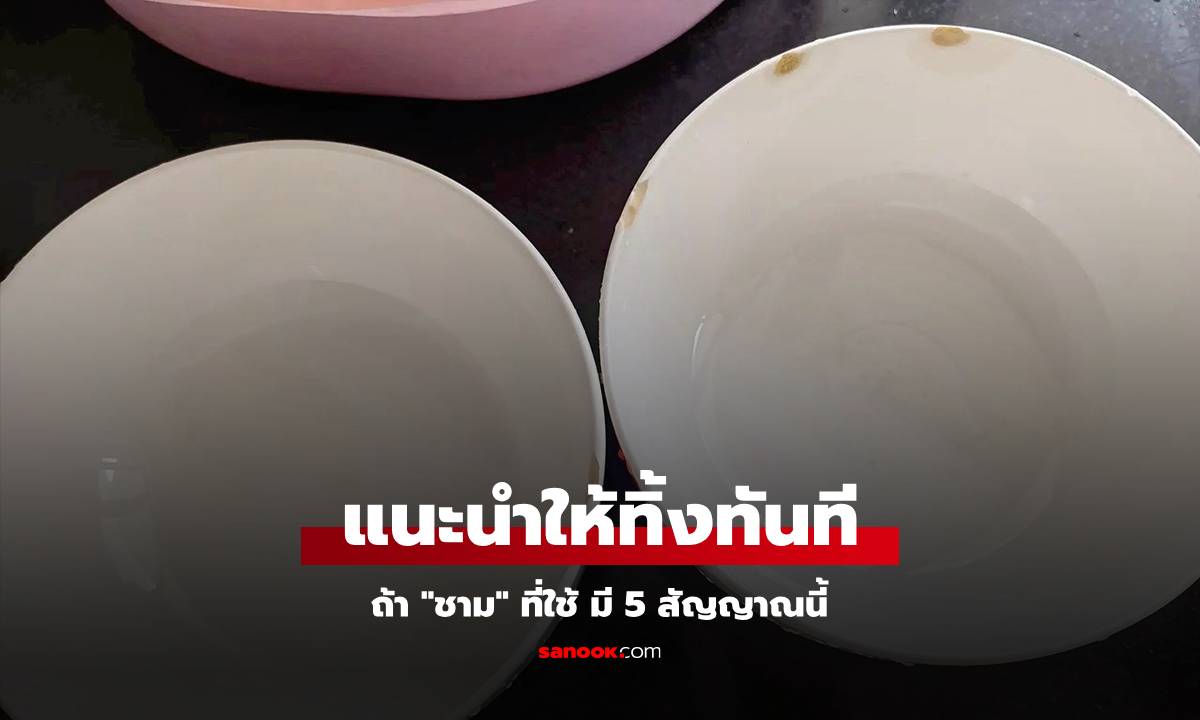 เตือนแล้วนะ! หาก "ชาม" ที่ใช้ในบ้าน มี 5 สัญญาณนี้ แนะนำให้ทิ้งทันที อย่าฝืนใช้ต่อ