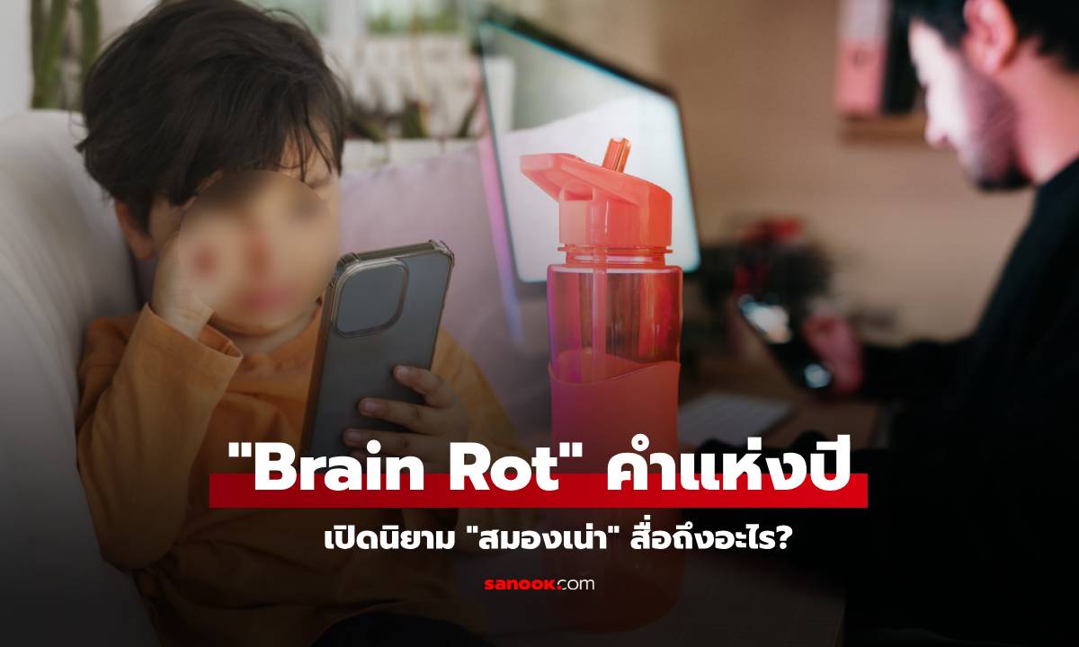 สมองเน่า! เปิดนิยาม "Brain Rot" คำแห่งปีที่ถูกใช้บ่อยขึ้น 230% แต่คนไทยหลายคนยังไม่เก็ต