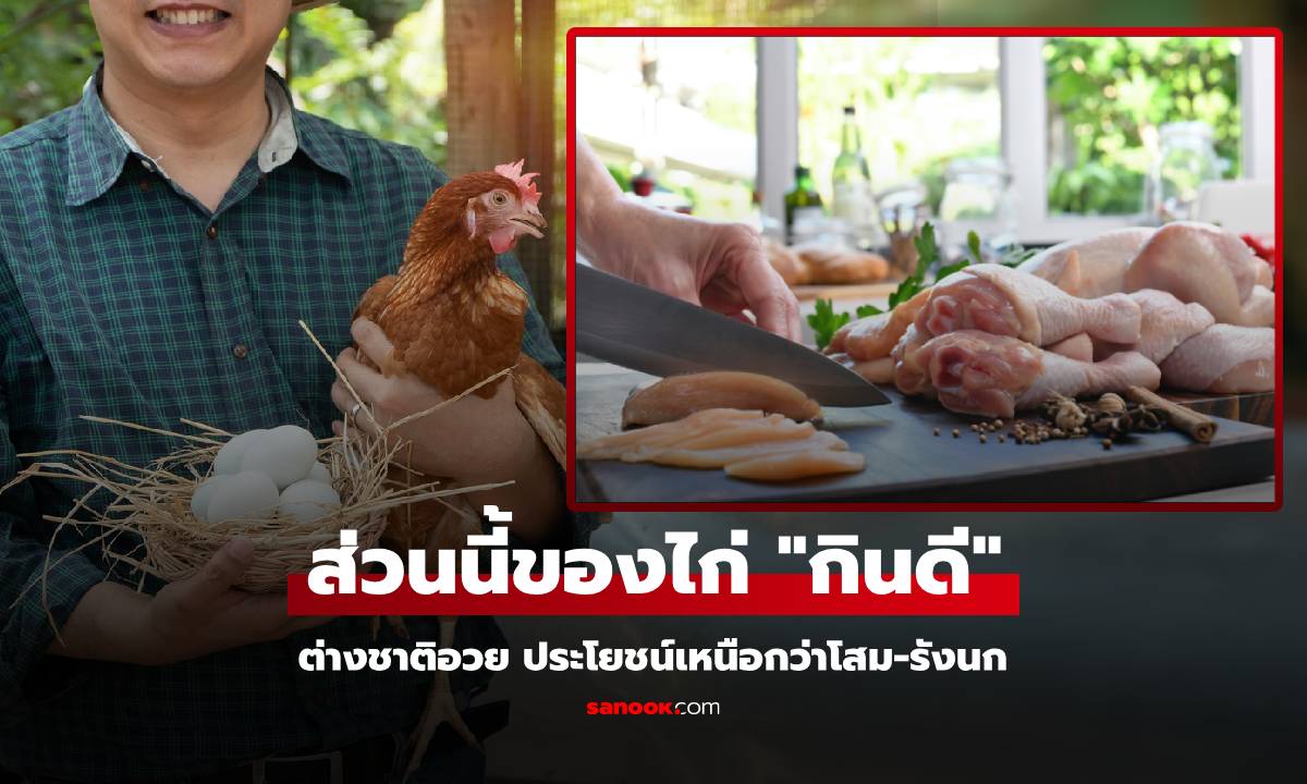 ต่างชาติอวย ส่วนล้ำค่าของไก่ เหนือกว่า "โสมกับรังนก" แต่หลายคนมองข้าม ไม่กินเพราะไม่รู้!