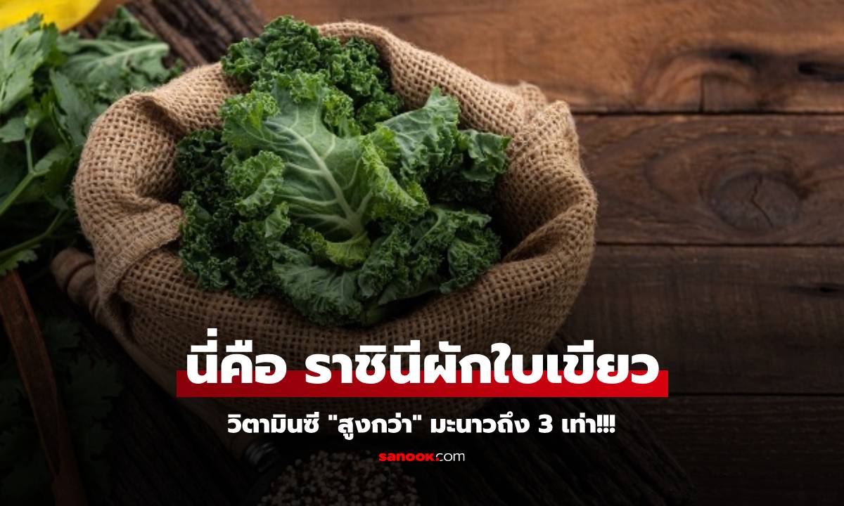 ไทยก็มีกิน! ต่างชาติอวยผัก "ราชินีใบเขียว" วิตามินซีเหนือมะนาว ช่วยคุมน้ำตาล-ป้องกันมะเร็ง