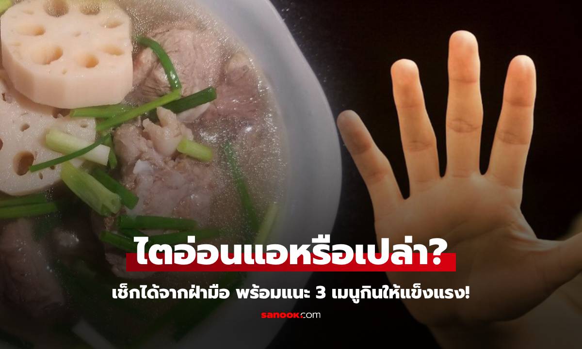 ฝ่ามือย่น-ยุบ สัญญาณ "ไตอ่อนแอ" ต่างชาติแนะกิน 3 อาหารขุมทรัพย์ ไทยมีครบราคาถูก!