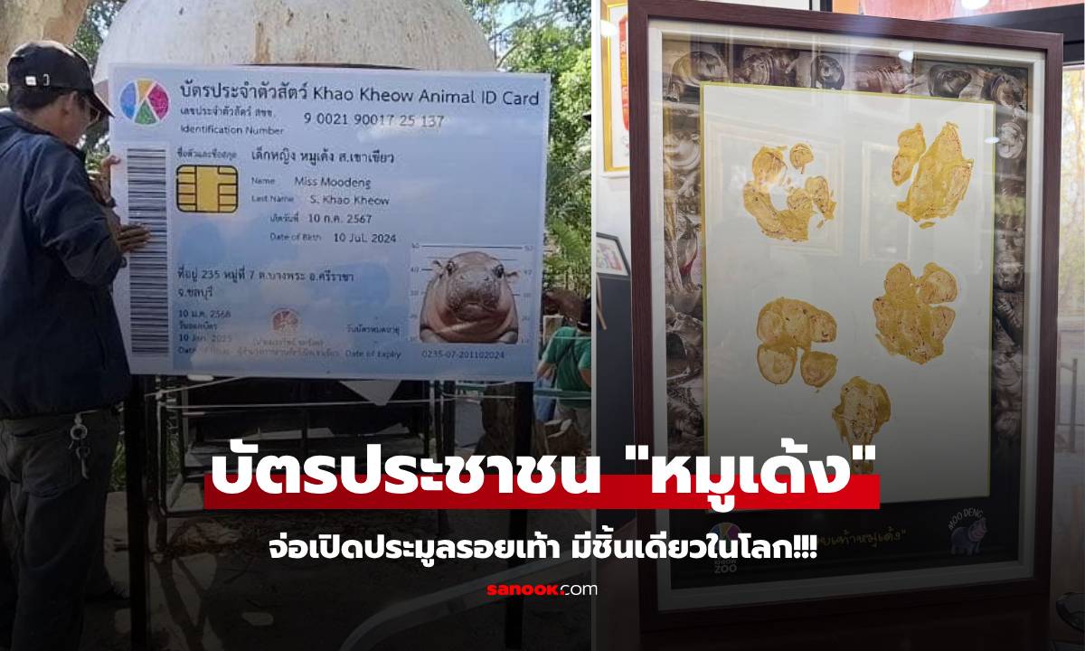 เอ็นดู ข้อมูลบนบัตร ปชช. "ด.ญ.หมูเด้ง" วัย 6 เดือน และรอยเท้าที่ประมูลขาย ชิ้นเดียวในโลก!!!