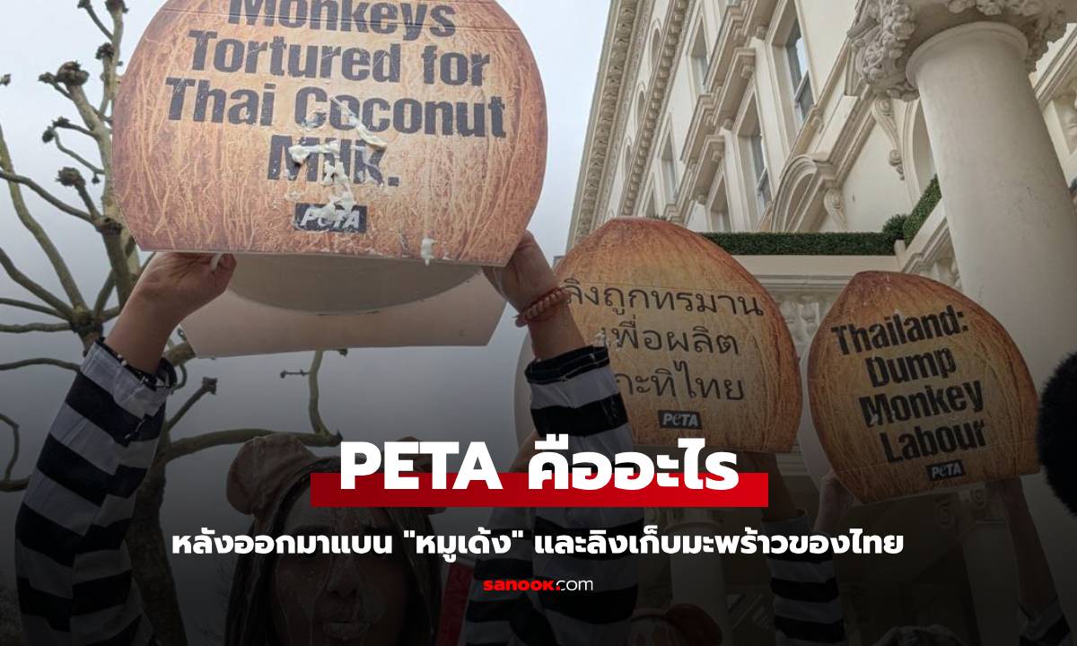 PETA (พีต้า) คืออะไร หลังออกมาต่อต้าน "หมูเด้ง" และลิงเก็บมะพร้าวของไทย