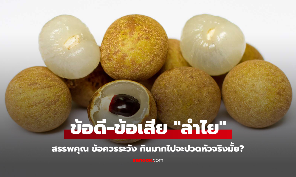 "ลำไย" ข้อมูล สรรพคุณ ประโยชน์ ข้อควรระวัง ทำไมกินแล้วปวดหัว?