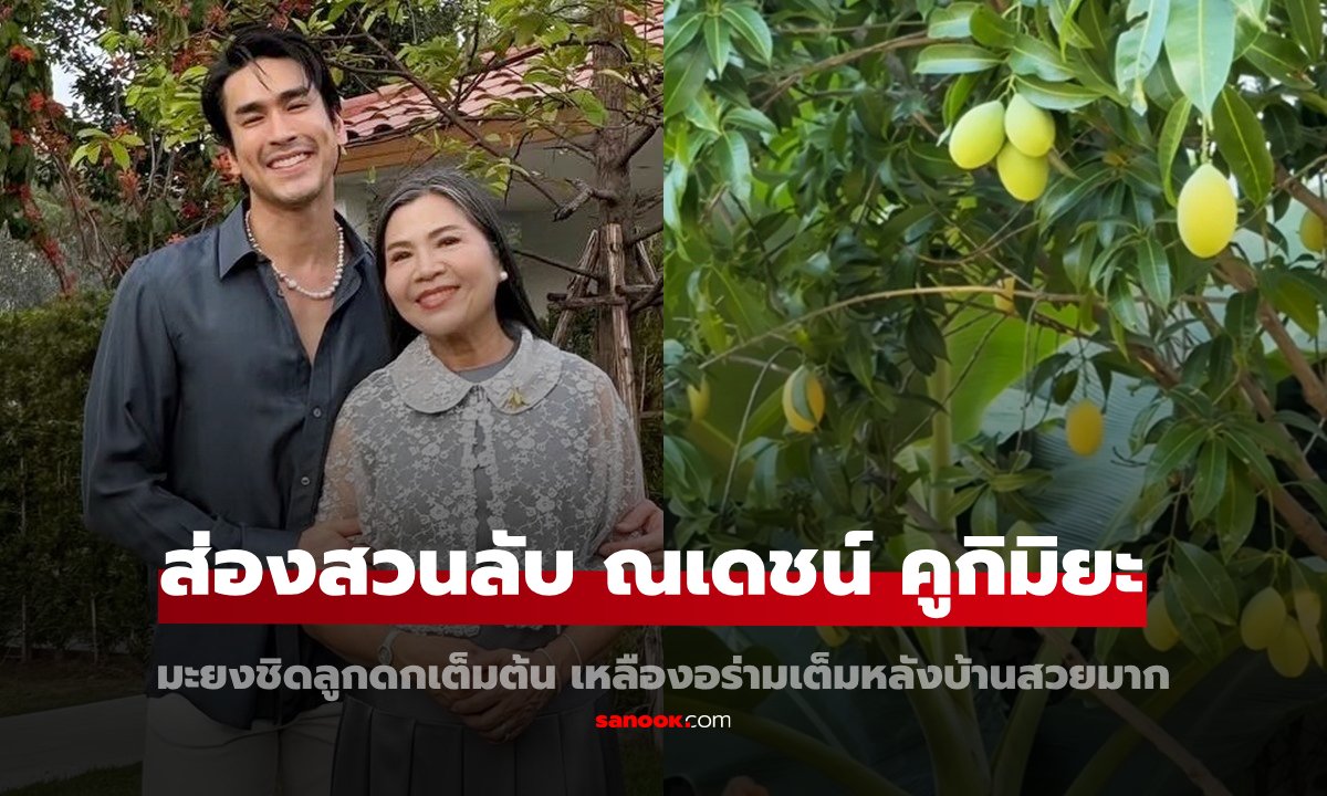 เปิดสวนลับของ "ณเดชน์ คูกิมิยะ" มะยงชิดลูกดกเต็มต้น เหลืองอร่ามสวยมาก