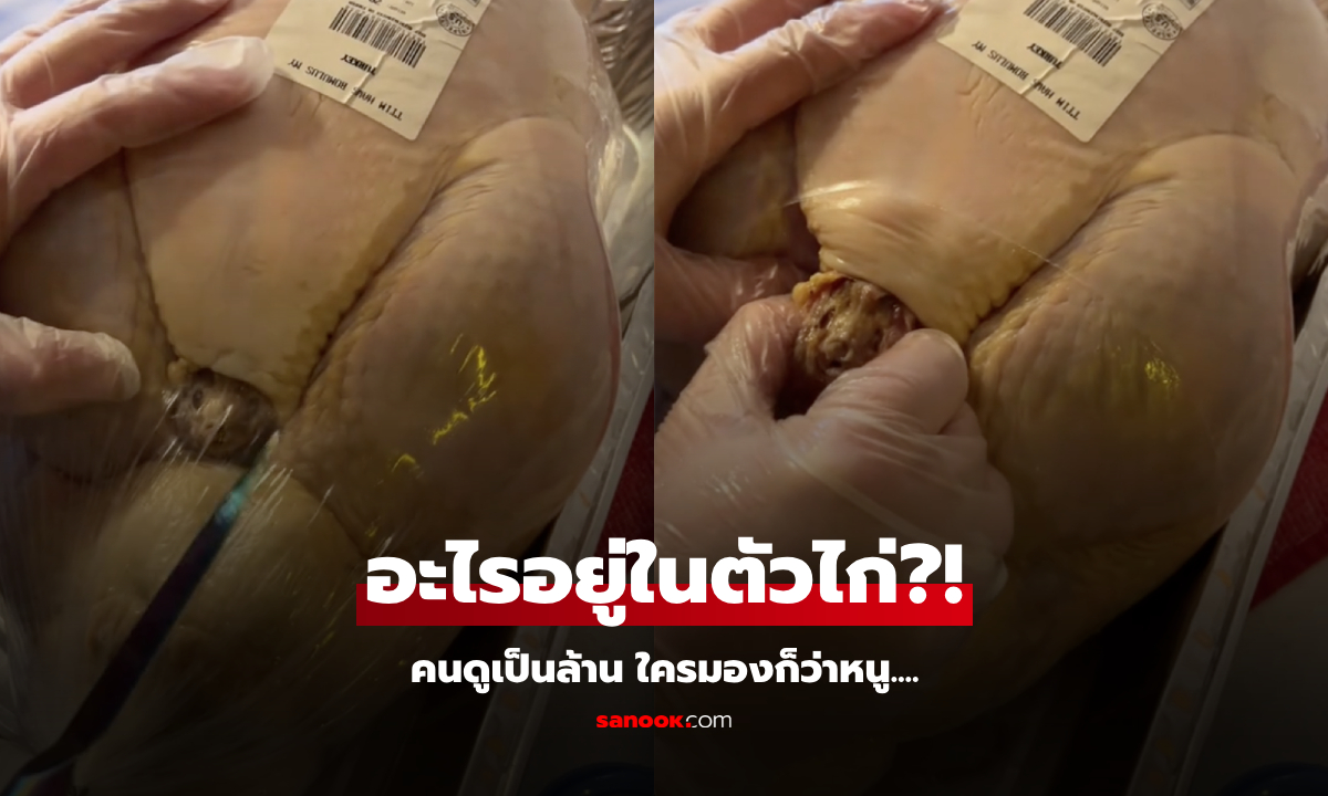 ไวรัล 48 ล้านวิว ซื้อไก่สดมาทำอาหาร ผงะ ตัวอะไรโผล่ออกมา กลั้นใจผ่าพิสูจน์ โอละพ่อ!