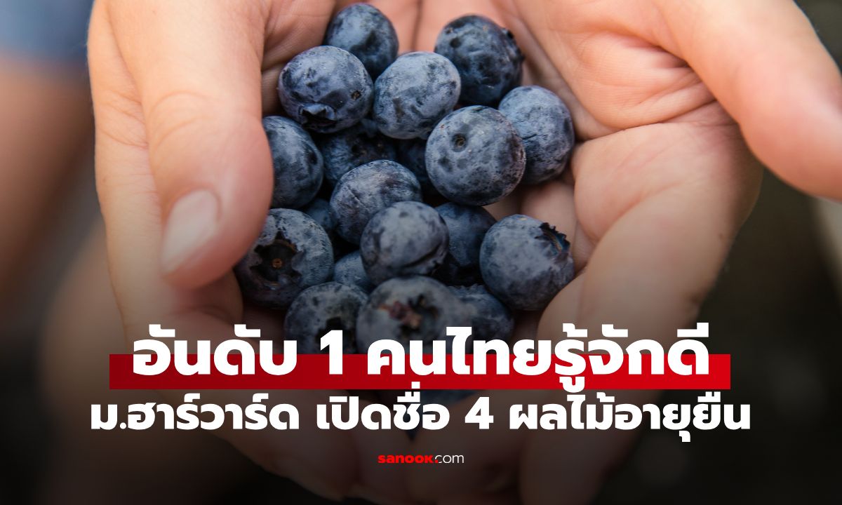 ม.ฮาร์วาร์ด เปิดชื่อ 4 "ผลไม้อายุยืน" อันดับ 1 คาดไม่ถึง คนไทยได้ยินชื่อแล้วร้องอ๋อ