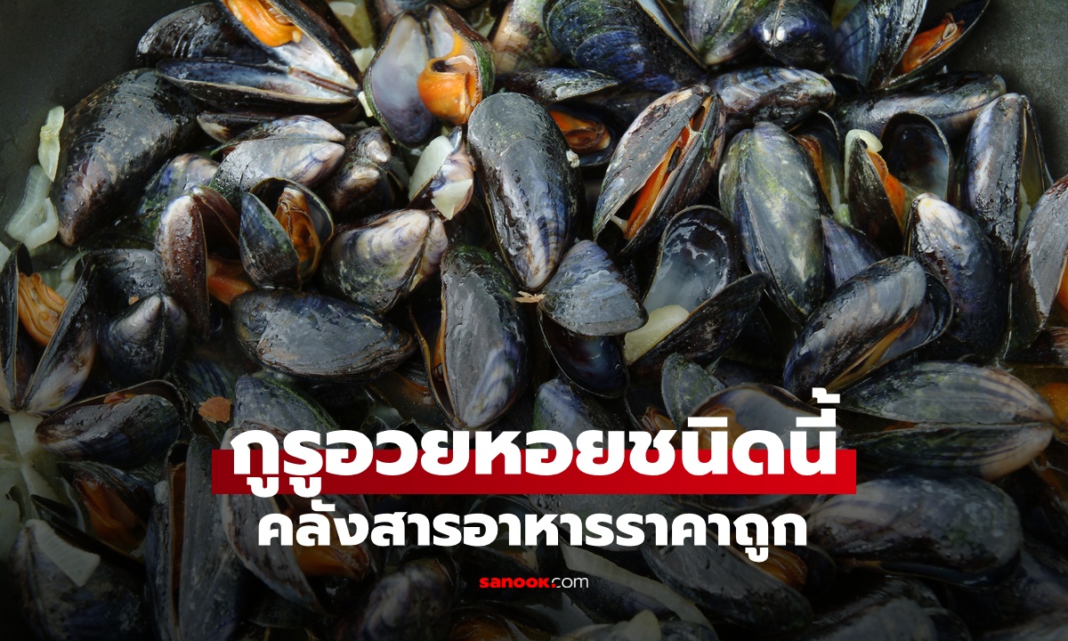 กูรูโภชนาการอวย หอย 1 ชนิด เป็นคลังสารอาหารราคาถูก ประโยชน์ 7 ข้อที่คนไม่รู้