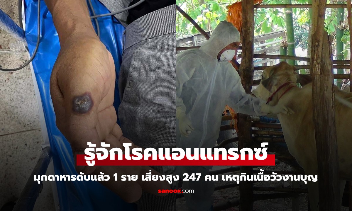 รู้จัก "โรคแอนแทรกซ์" ดับแล้ว 1 ราย เสี่ยงสูง 247 คน หลังกินเนื้อวัวงานบุญมุกดาหาร