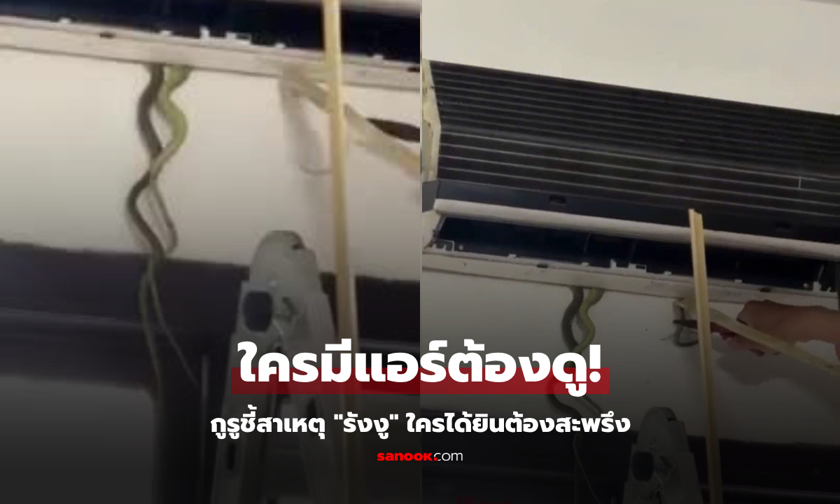 คลิปสะพรึง "รังงู" ซุกในแอร์ ดึงออกมาทีละตัวๆ ก่อนเผยยอดรวม รู้สาเหตุผวาทุกบ้าน!