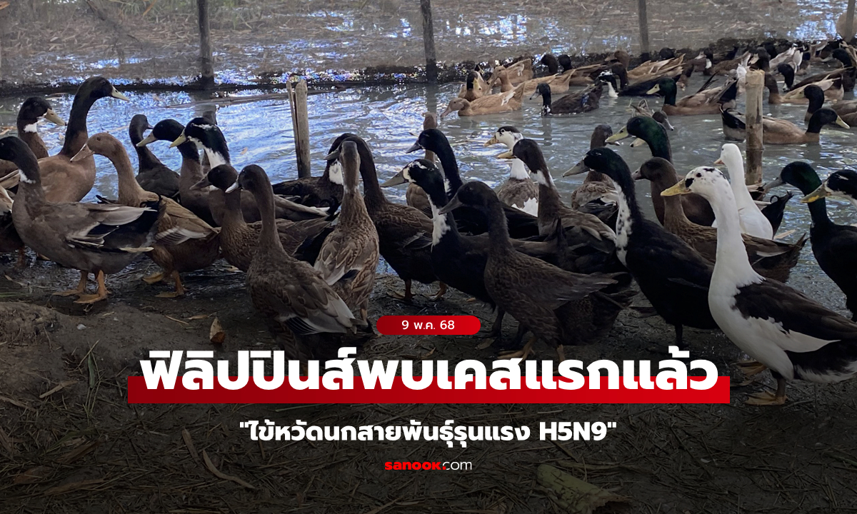 เจอแล้วเคสแรก! ฟิลิปปินส์พบ "ไข้หวัดนกสายพันธุ์รุนแรง" เร่งคุมเข้มป้องกันลุกลาม