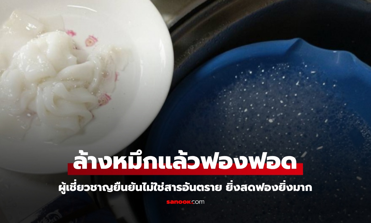 ล้างปลาหมึกแล้วมีฟอง ผู้เชี่ยวชาญเฉลยเกิดจากสารอะไร? ยิ่งสดฟองยิ่งมาก ไม่อันตราย