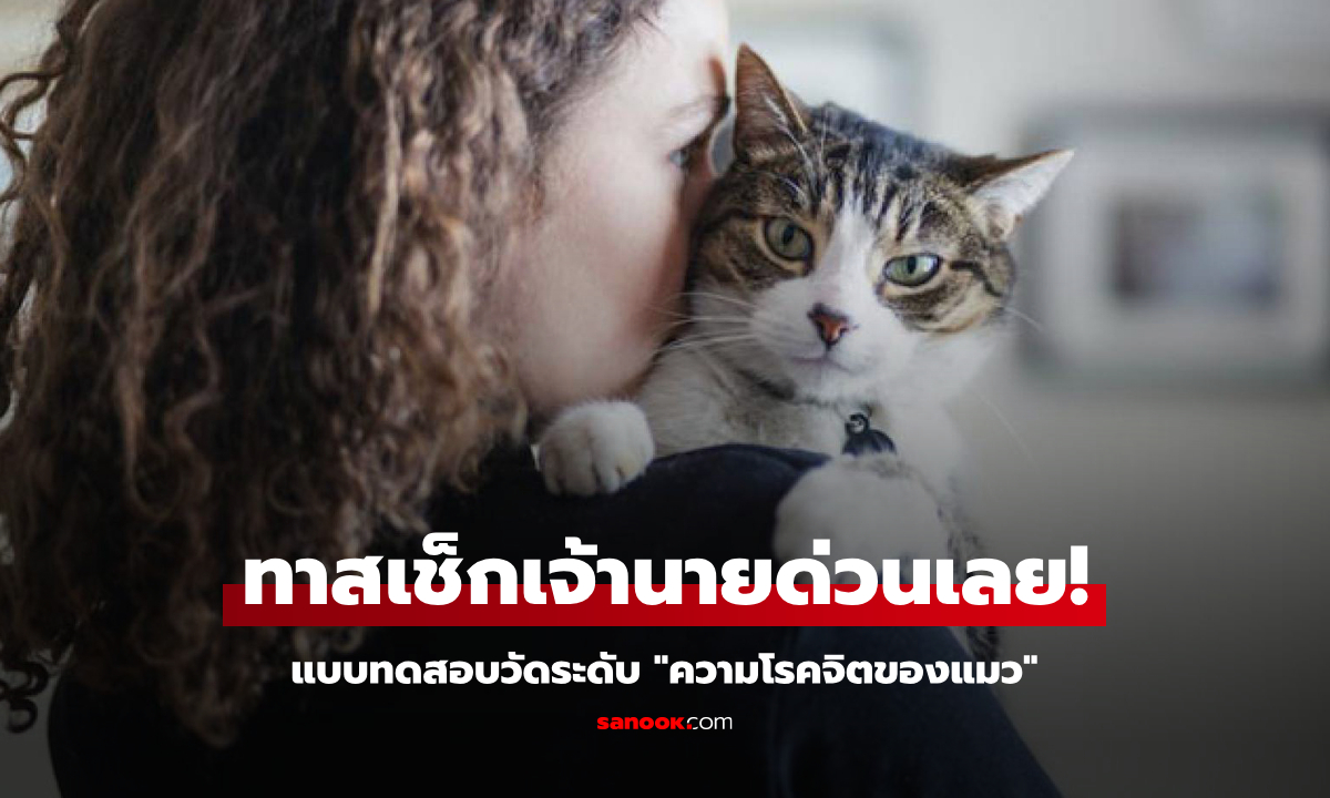ทาสเช็กเจ้านายด่วน! แบบทดสอบวัดระดับ "ความโรคจิต" ของแมว