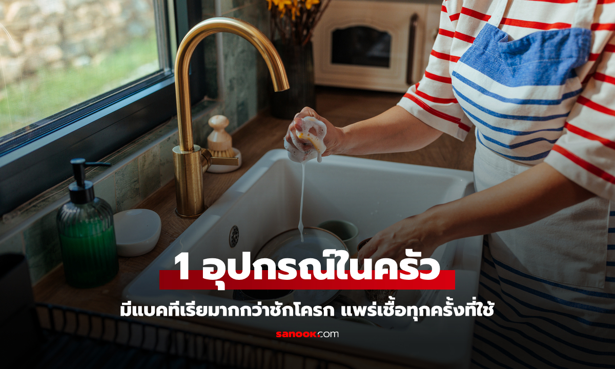 ความจริงน่าตกใจ 1 อุปกรณ์ในครัว มีแบคทีเรียมากกว่าชักโครก แพร่เชื้อทุกครั้งที่ใช้